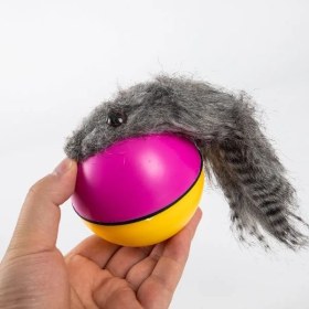 Resim Hareketli Rakun Kedi Köpek Oyuncak 