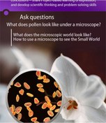 Resim Xindoker Çocuklar İçin Taşınabilir L Tipi Dijital Mikroskop: Hd Fotoğraf Ve Video Çekimi, Biyolojik Deneyler Ve Stem Eğitimi 