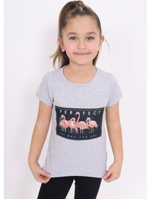 Resim Toontoy Kids Toontoy Kız Çocuk Flamingo Baskılı Tişört Gri Melanj 