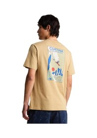Resim F0a8g9zlk51-r The North Face M Mountaın Celebratıon Regular Short Sle Erkek T-shirt F0a8g9zlk51-r Sütlü Kahverengi 