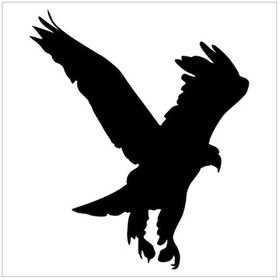 Resim Kartal Folyo Sticker Derstv747 60cm Uzunluk Siyah 