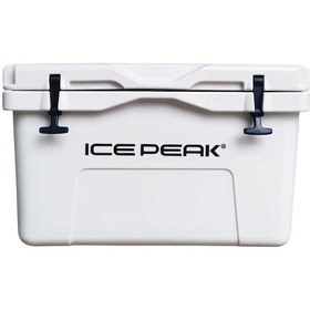 Resim Icepeak Aden Buzluk 45 Litre 