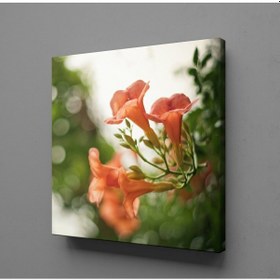 Resim Turkuaz Çiçekler Kanvas Tablo 