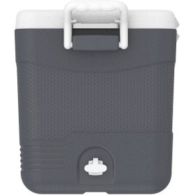 Resim IcePeak CoolCraft 46 Buzluk 41.6 Litre-FÜME 