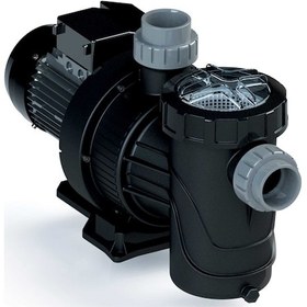 Resim Astral Havuz Pompası Verdon ES 2Hp 220 Volt 