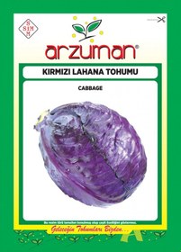 Resim Arzuman Kırmızı /Mor Lahana Tohumu 10 G 