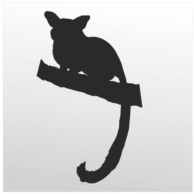 Resim Folyo Sticker Rakun 40cm Uzunluk Siyah 