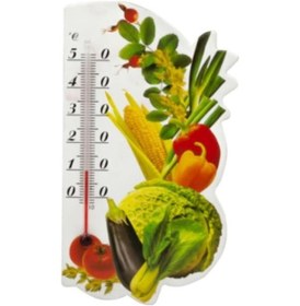 Resim Mıknatıslı Mutfak Termometresi 