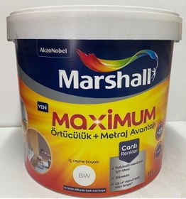 Resim Marshall Maximum Silikonlu Ipek Mat 15 Lt 