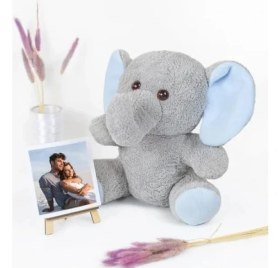 Resim Erdo Ticaret Şövaleli Peluş Ayıcık - 20-25 cm 