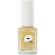 Resim Pastel Oje No: 411 