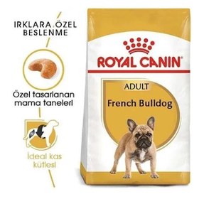 Resim Royal Canin French Bulldog Adult Yetişkin Köpek Maması 3 Kg 