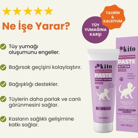 Resim Yavru Kediler İçin Tüy Yumağı Önleyici ve Multivitamin Malt Macunu 100g 