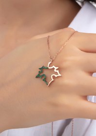 Resim Gümüş Vadisi Kadın Orjinal 925 Ayar Gümüş Zirkon Taşlı Yaprak Çiçek Model Kolye 