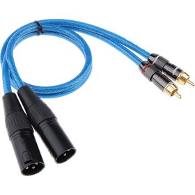 Resim Çift Xlr Erkek Ila Çift Rca Erkek 2 Yama Kablosu Ses 50CM (Yurt Dışından) 