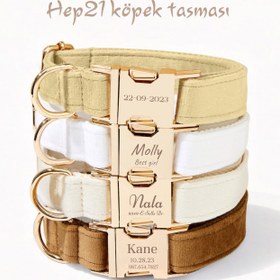 Resim Dog Collar Named Cream Velvet Collar 904285 - 5pcs set / L 