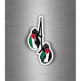 Resim Filistinli Çıkartma Araba Motosiklet Boks Eldiveni Bayrak Filistin 19CM 