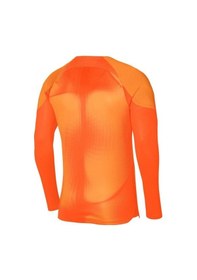 Resim Nike Dh7967-819 M Nk Dfadv Gardıen Iv Gk Jsyls Turuncu Erkek Kaleci Forması Turuncu 