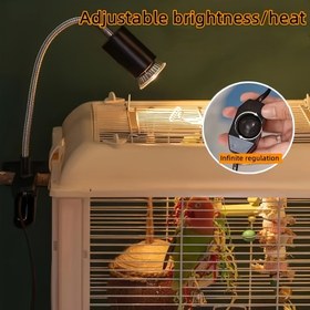 Resim Parlaklık Ayarlanabilir Papağan Isıtma Lambası - Çift Voltaj 110V/220V, Papağanlar, Muhabbet Kuşları, Kakadu, Kaplumbağalar & Hamsterlar için Kızılötesi Evcil Hayvan Isıtıcı Işık - Avrupa Fişi ile Rahat Aydınlatmalı Habitat Aksesuarı, Kuş Aksesuarları 