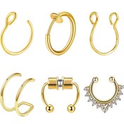 Resim 6'lı Set Burun Halkası Aralayıcı Paslanmaz Çelik Burun Piercing, Dudak Halkası, Sahte Spiral Küpeler, Erkek ve Kadınlar için Deliksiz Takı 
