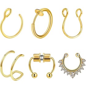 Resim 6'lı Set Burun Halkası Aralayıcı Paslanmaz Çelik Burun Piercing, Dudak Halkası, Sahte Spiral Küpeler, Erkek ve Kadınlar için Deliksiz Takı 