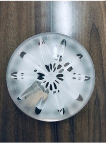 Resim Tavan Glop Armatür E27 Duy Tavan Aplik 23Cm. Şeffaf 