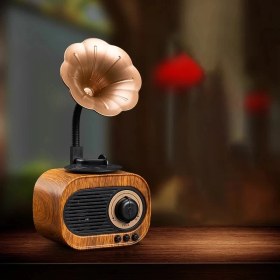 Resim Filli Kutum Nostaljik Mini Radyo Gramofon Radyo Retro Style Bluetooth Hoparlör B5 Ahşap Görünümlü Tasarım 