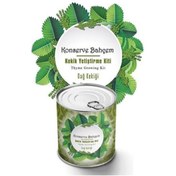 Resim Adataque adatak® Konserve Bahçem Evde Konservede Kekik Dağ Kekiği Yetiştirme Kiti 