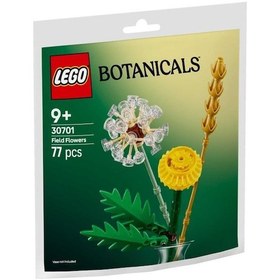 Resim Lego Botanicals 30701 Field Flowers 