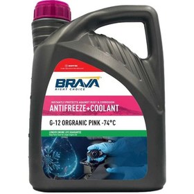 Resim G-12 Organic Antifreeze Pink -74 C 3 Kg 