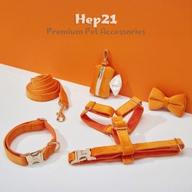 Resim Dog Collar Named Orange Velvet Collar 865315 - 5pcs set / L 