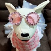 Resim Trendy Taşlı Evcil Hayvan Gözlükleri Kedi ve Köpek İçin - Ayarlanabilir Hafif Çerçek Kalp Şekill Lens & Pembe/Mor Iltihaplanma Etkili Camlar, Fotoğraf 