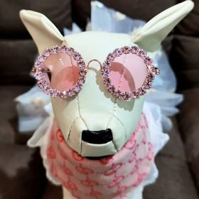 Resim Trendy Taşlı Evcil Hayvan Gözlükleri Kedi ve Köpek İçin - Ayarlanabilir Hafif Çerçek Kalp Şekill Lens & Pembe/Mor Iltihaplanma Etkili Camlar, Fotoğraf 