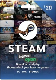 Resim Hemenoyun Steam Gift Card 20 Usd Dolar Cüzdan Kodu 
