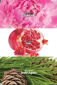 Resim AVON Eve Truth Kadın Parfüm ve Vücut Losyounu Paketi 