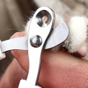 Resim 1 Adet Paslanmaz Çelik Kedi Tırnak Bileyici - El ile Çalışan Evcil Hayvan Bakım Aracı, Pil Gerektirmez 