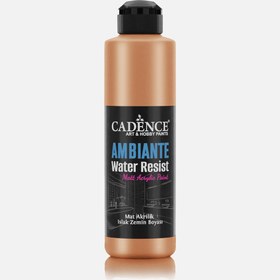 Resim Ambiente Akrilik Bronz 250ml Kat 10g AWM05 