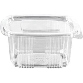 Resim CetKing Plastik Sızdırmaz Kap 500 gr cc Kullan At Tek Kullanımlık Plastik Kapaklı Kase 100 Adet 