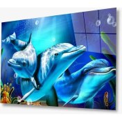 Resim Marsilyan- Sualtı Canlıları 