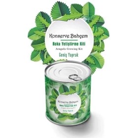 Resim Adatak® Konserve Bahçem Evde Konservede Iri Yapraklı Roka Yetiştirme Kiti 