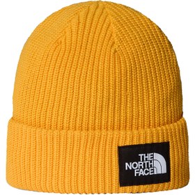 Resim The North Face Outdoor aksesuarlari Bereler SALTY LINED BEANIE 