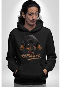 Resim Rottweiler Sevgisi Kadın Erkek Siyah Kapüşonlu Sweatshirt Hoodie Siyah 