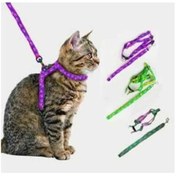 Resim Butik Kedi Tasması 