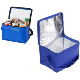 Resim eryatex Termos Çanta Ve 2 Adet Buz Aküsü Soğuk Sıcak Yalıtımlı 21 Lt. Araç Oto Piknik Kamp Plaj Omuz Çantası 