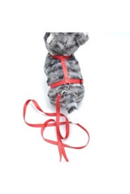 Resim Ne verelim size Kedi Düz Göğüs Tasması Ve Gezdirme Seti Ps9641 