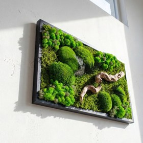 Resim Doğaya Yolculuk - Yosun, Liken ve Ahşabın Hikâyesi - 40x60 / Acı Kahve 