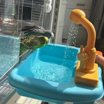 Su püskürtebilen bir papağan küveti, kendinden temizleyen duş, küçük ve orta boy kuşlar için uygun dayanıklı PC malzeme