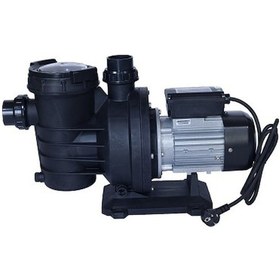 Resim Waterfun Senkron-1 1.5 Hp 220 Volt Havuz Pompası N11.1863 