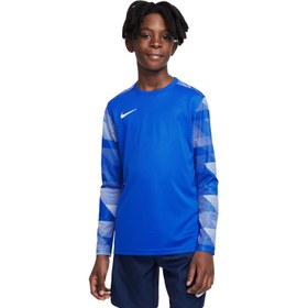 Resim Nike Giyim Forma Y NK DF PARK IV JSY LS GK 