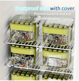 Resim Dashanshop Çift Katmanlı 25/50 Küp Kapasiteli Easy-press Kapaklı Buzluk Organizörü - Plastiksiz 